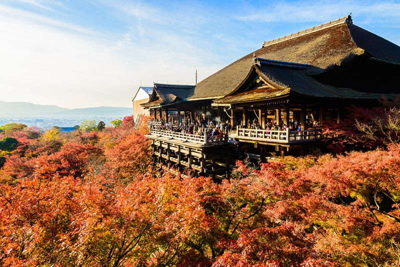 lá đỏ chùa kiyomizu la-do-chua-kiyomizu