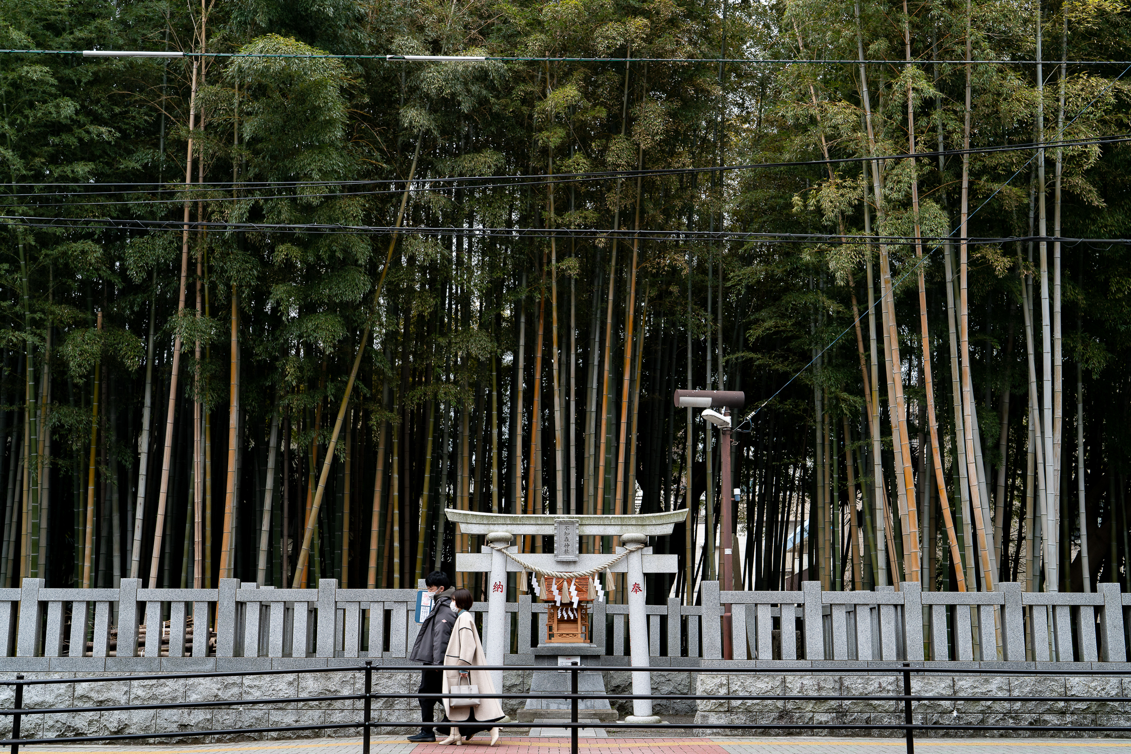 yawata-no-yabushirazu yawata-no-yabushirazu