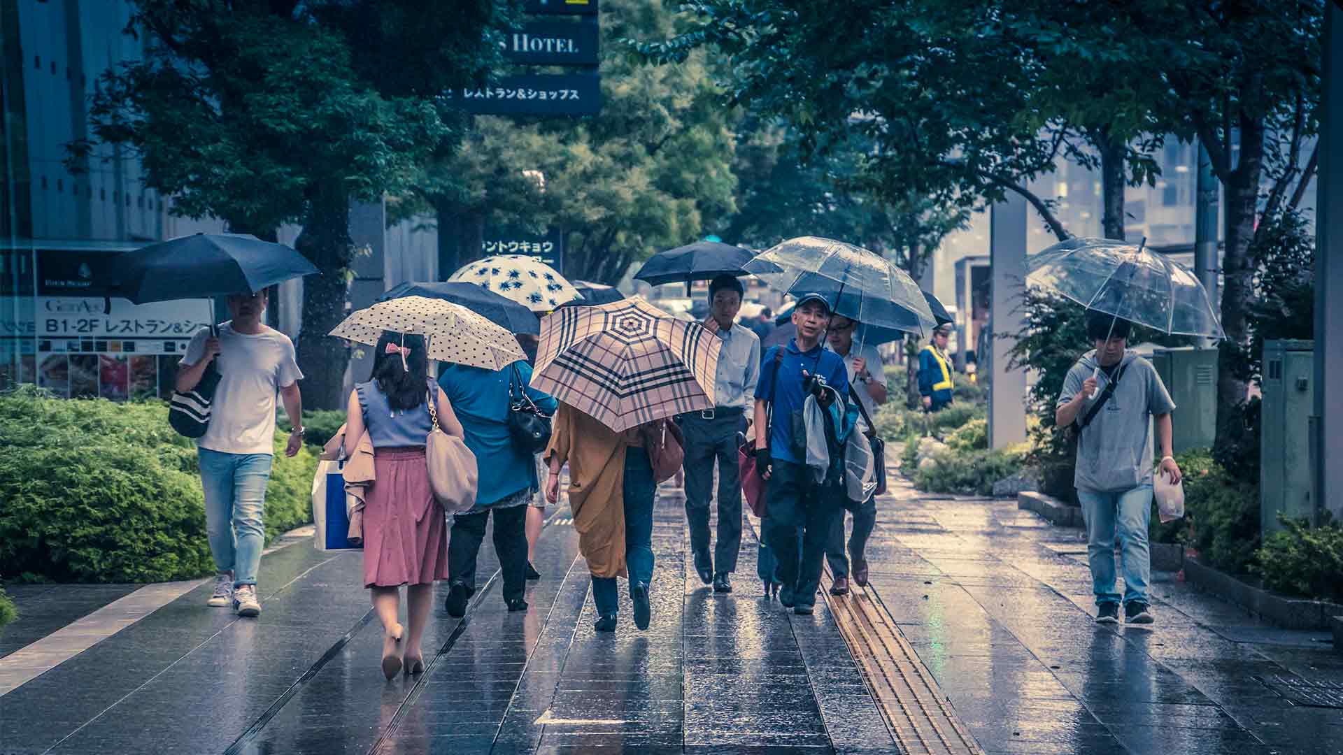 Mùa mưa tháng Sáu ở Nhật mua-mua-thang-sau