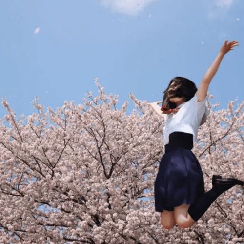 Xuân phân – Thời điểm đánh dấu mùa xuân về trên nước Nhật