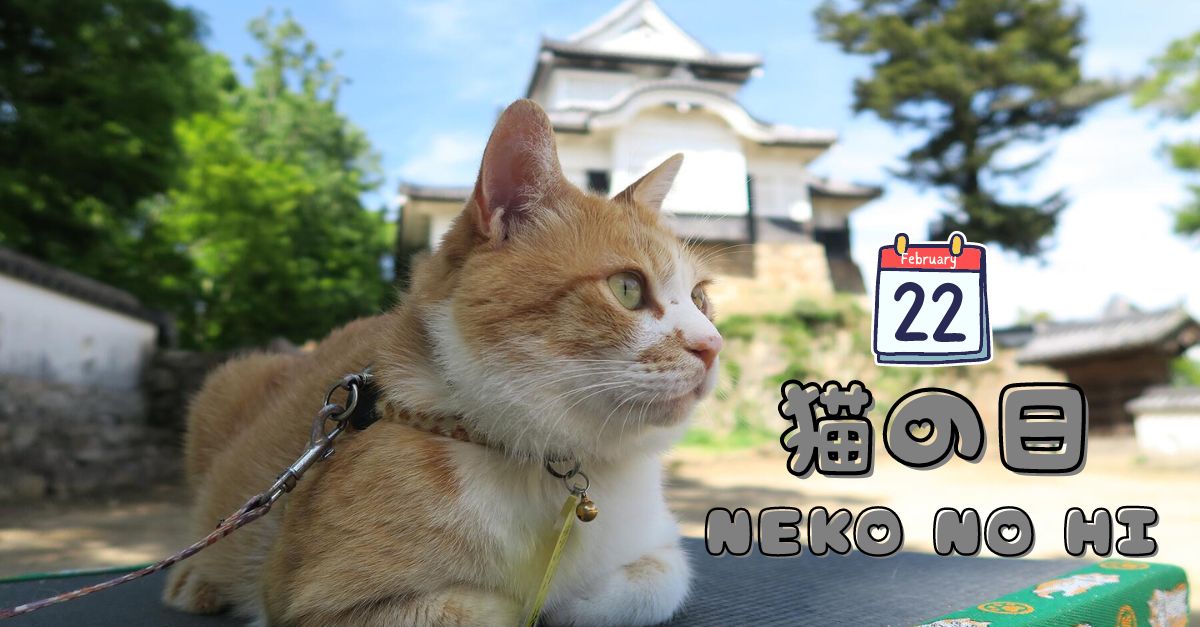 Học cách thể hiện tình yêu và đặt tên cho mèo bằng tiếng Nhật