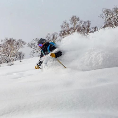 Japow – Loại tuyết bột đặc trưng của mùa đông nước Nhật