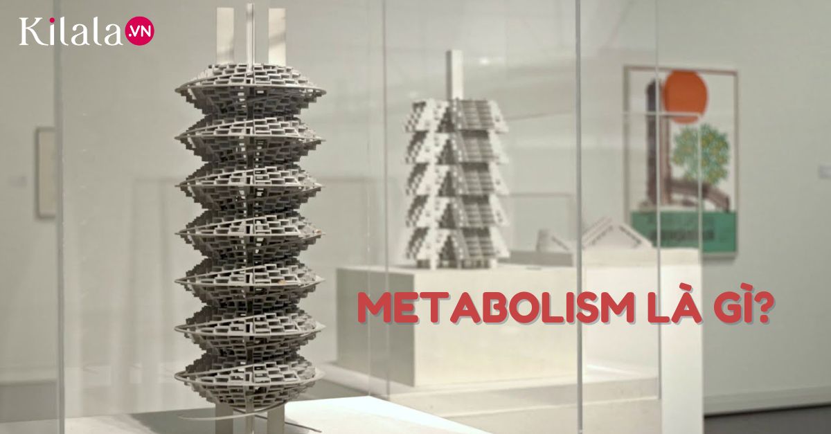 Metabolism là gì? metabolismlagi