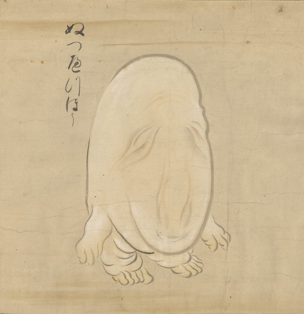 shizuoka nuppeppo shizuoka-nuppeppo