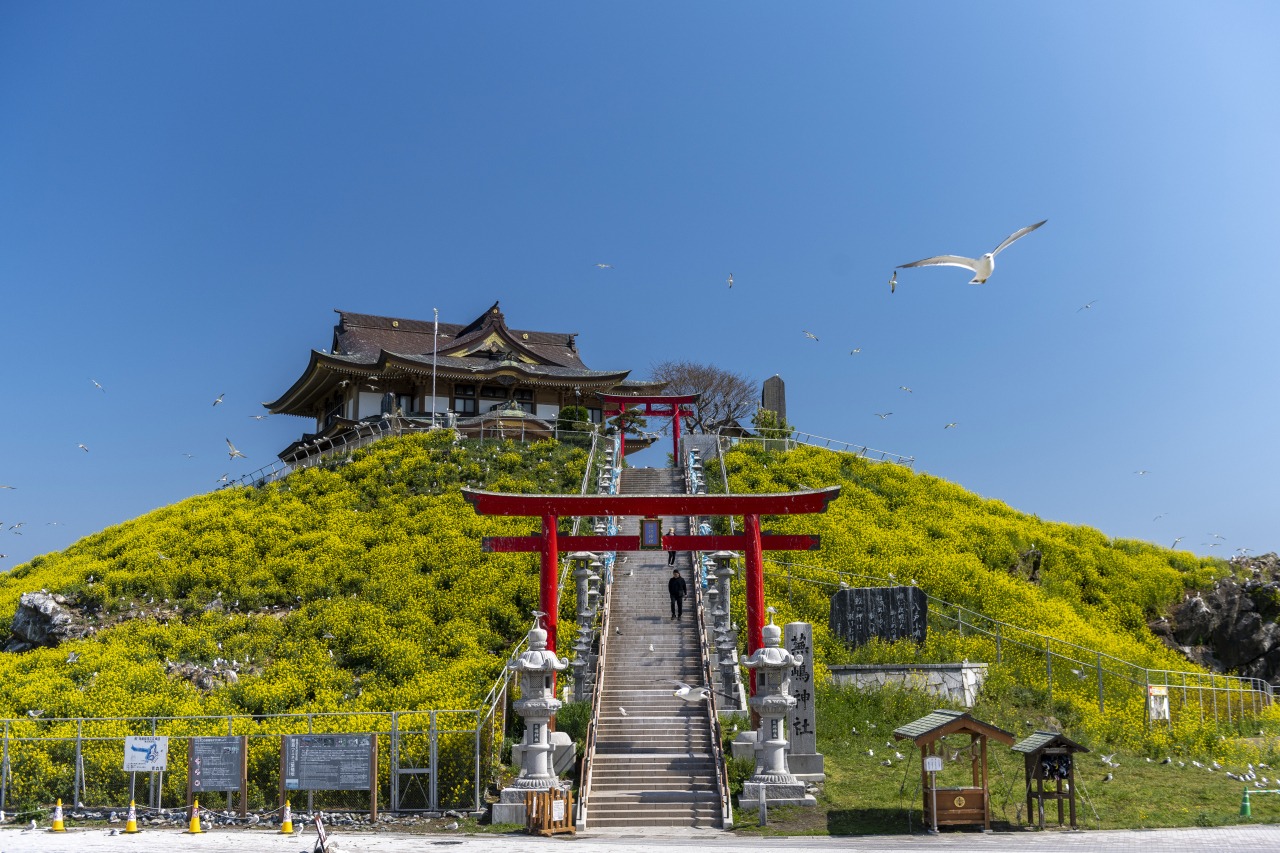 đền Kabushima den-Kabushima