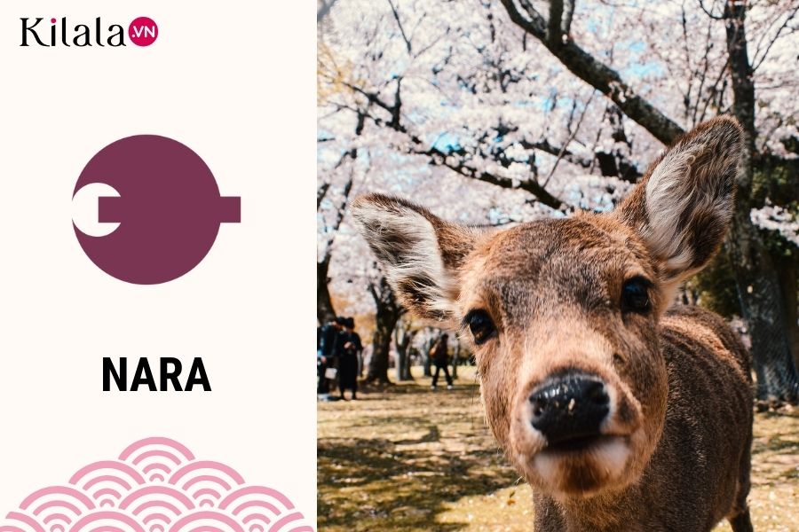 nara nara