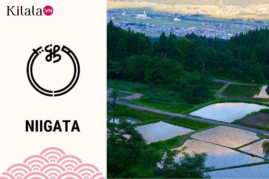 niigata niigata