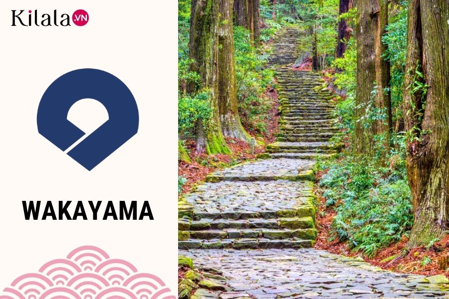 wakayama wakayama