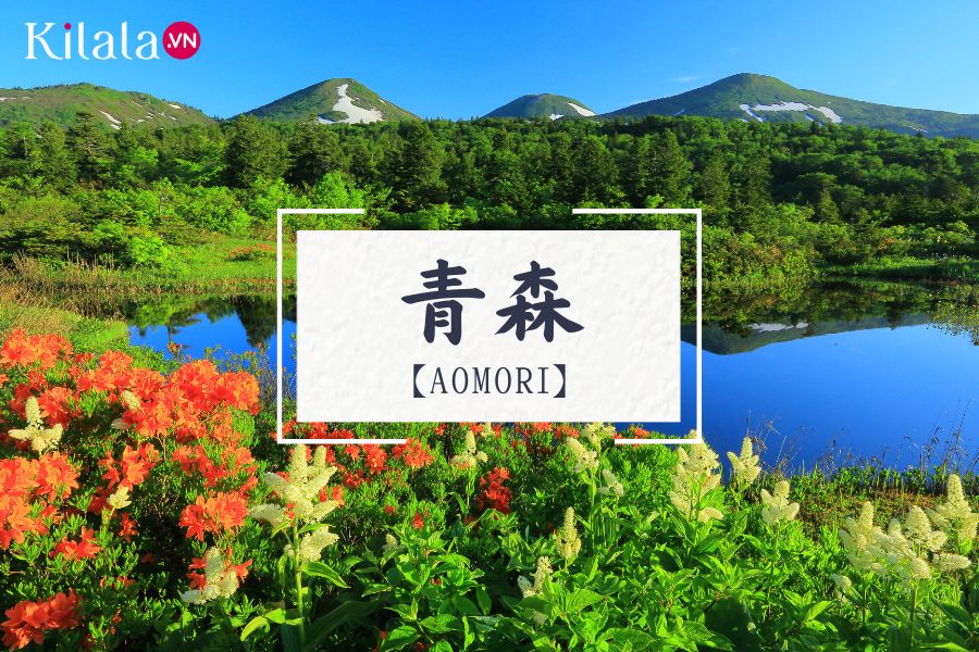 Aomori Aomori