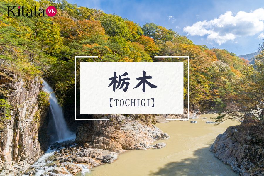 Tochigi Tochigi