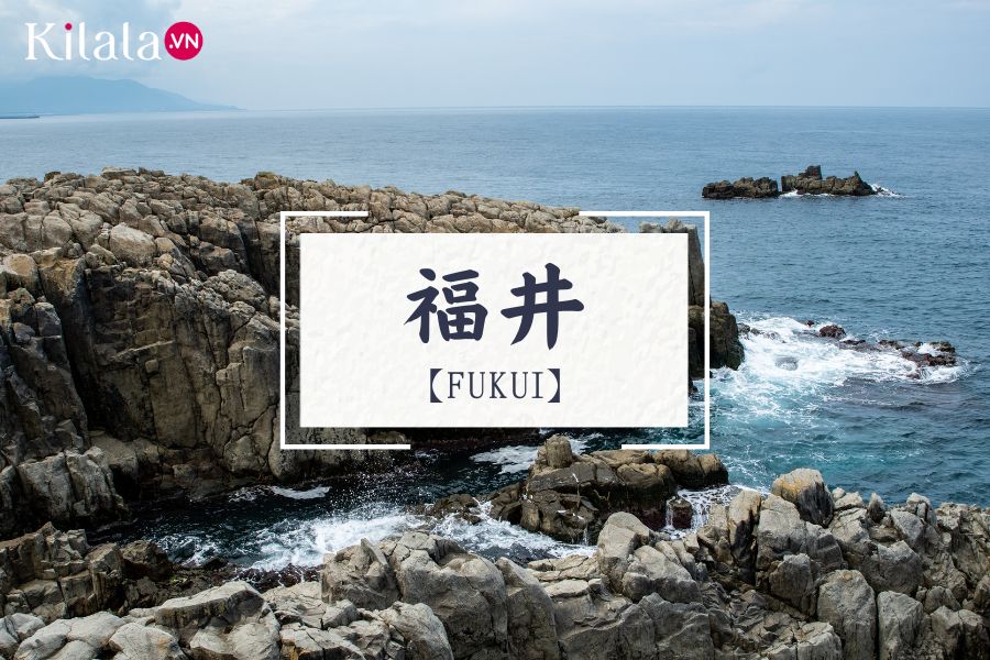 fukui fukui