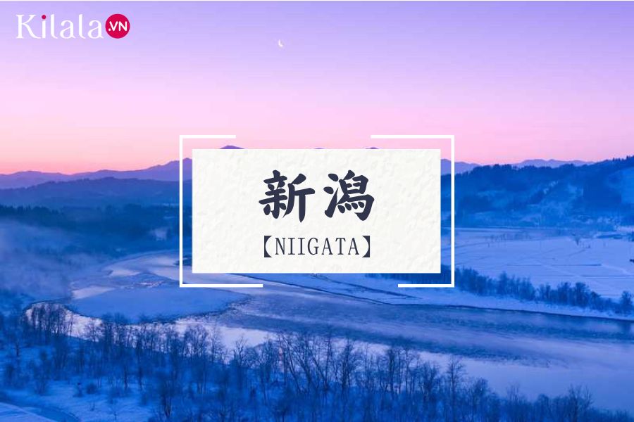 niigata niigata