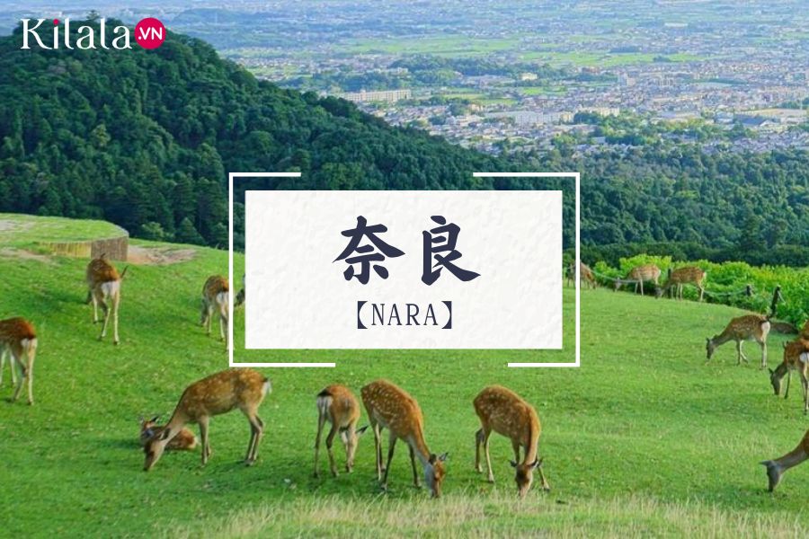 nara nara