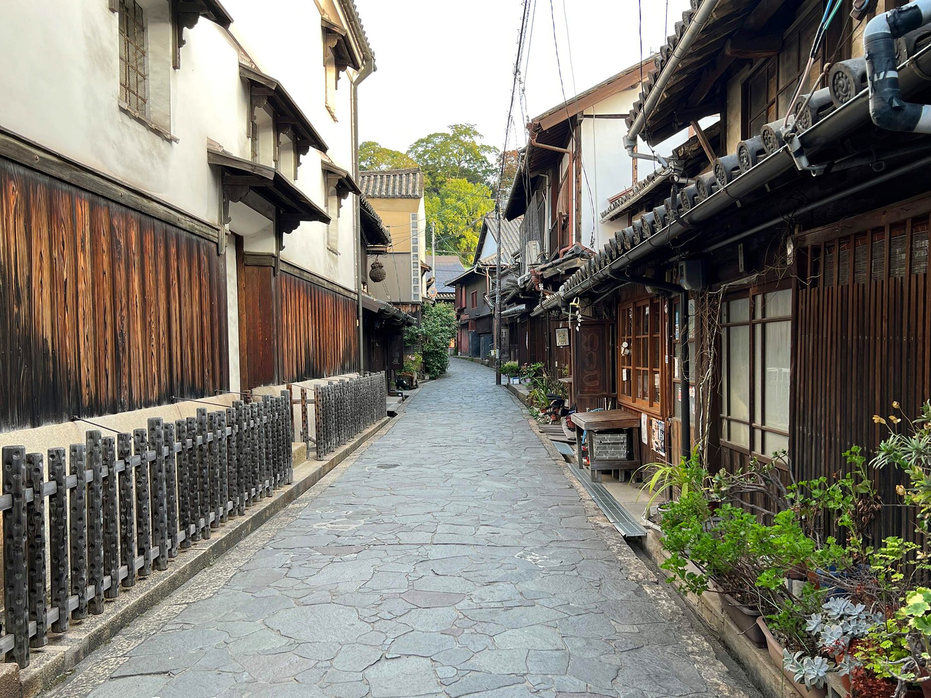 edo edo