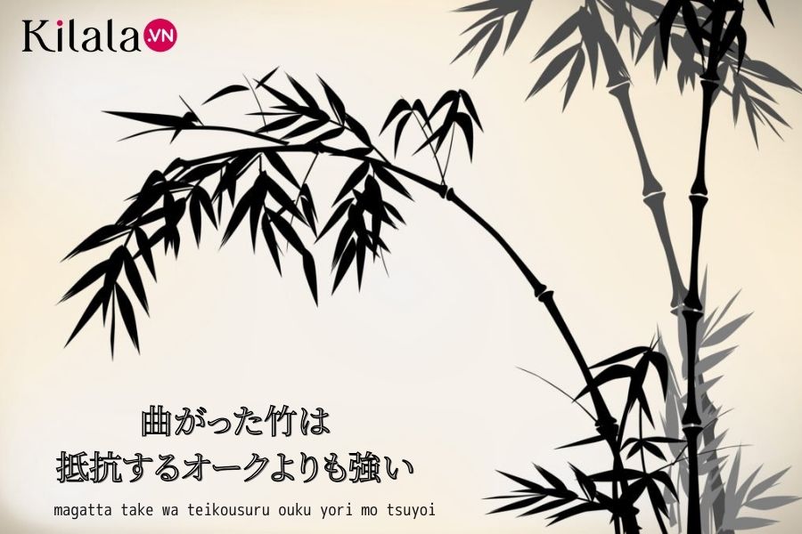 tục ngữ nhật về cây tre tuc-ngu-ve-cay-tre