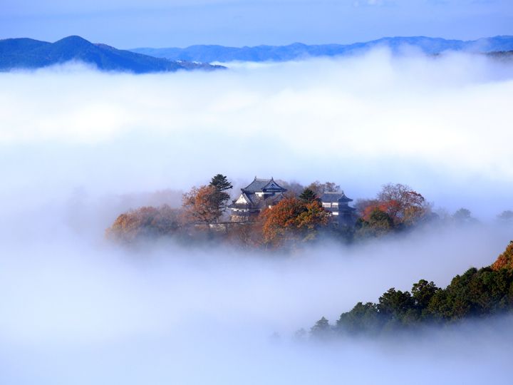 Hình ảnh lâu đài ẩn hiện sau màn mây bitchu-matsuyama