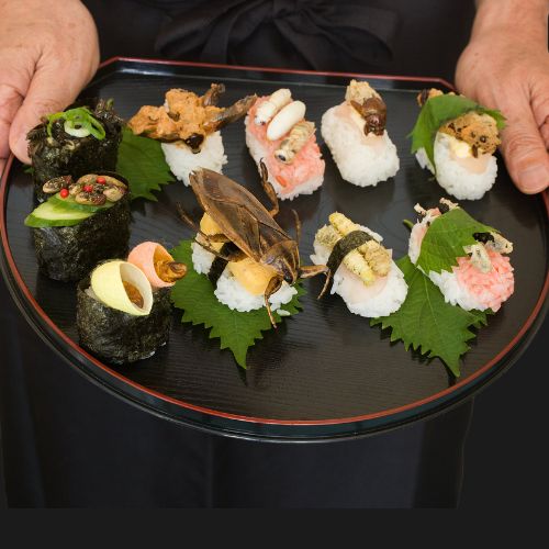 Thế giới ẩm thực côn trùng của người Nhật