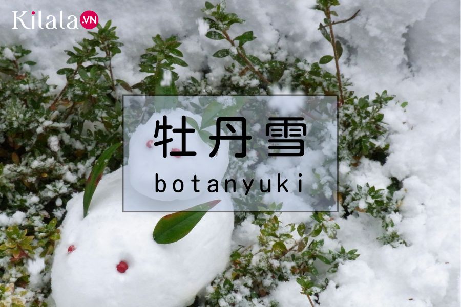 botanyuki botanyuki