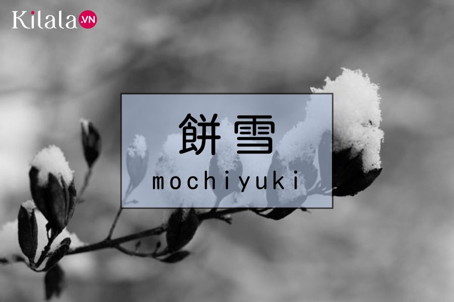 mochiyuki mochiyuki