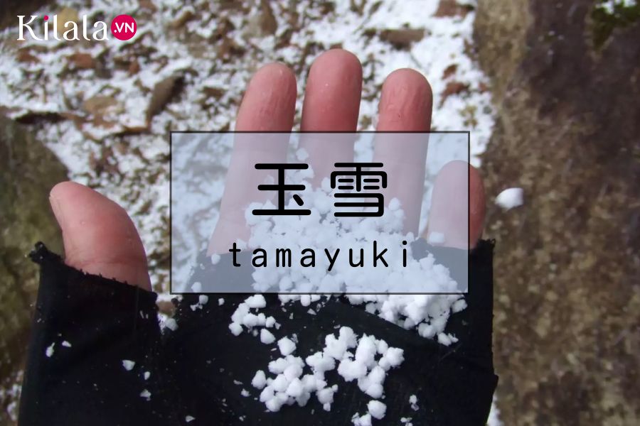 tamayuki tamayuki