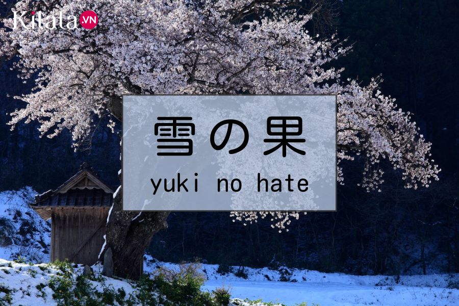 yukinohate yukinohate