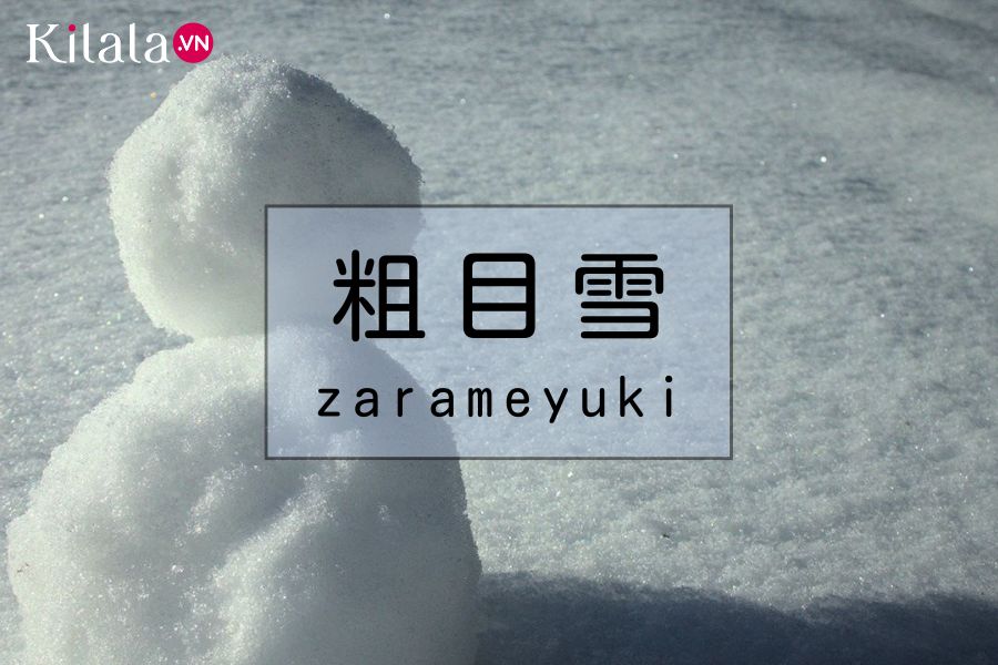 zarameyuki zarameyuki
