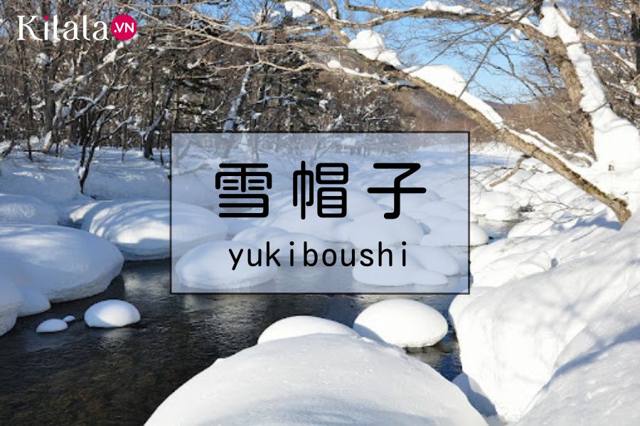 yukiboushi yukiboushi