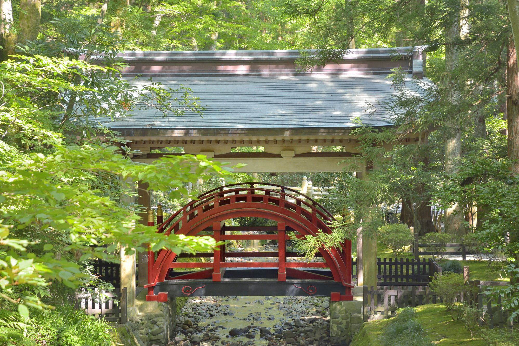 niigata yahiko niigata-yahiko