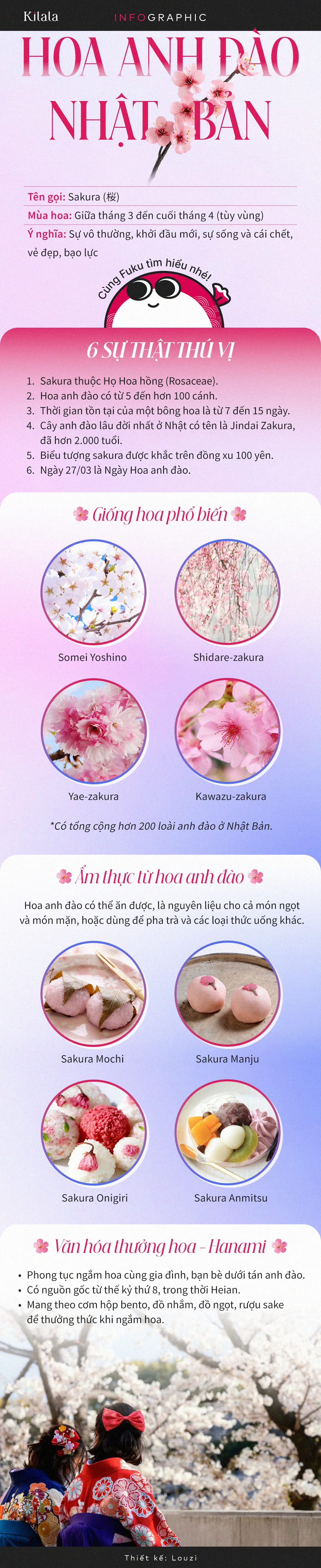 infographic-hoa-anh-dao-sakura