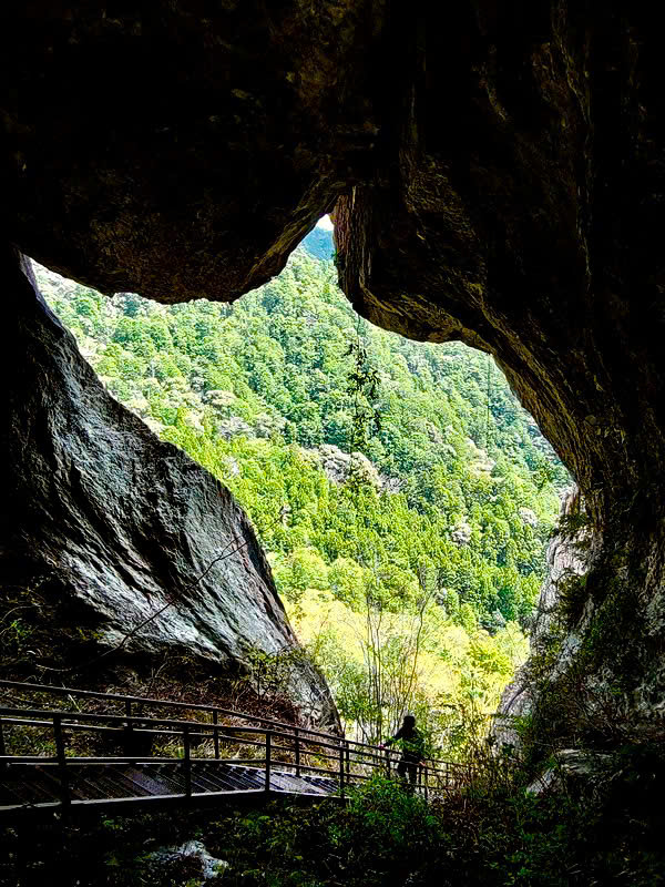 hang-động-hình-mèo-aichi hang-động-hình-mèo-aichi