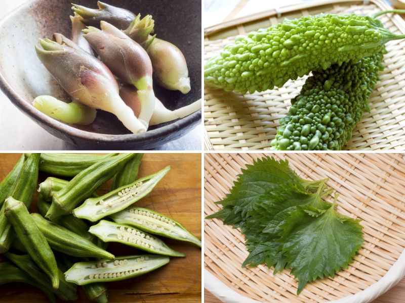 rau-củ-giải-nhiệt rau-củ-giải-nhiệt