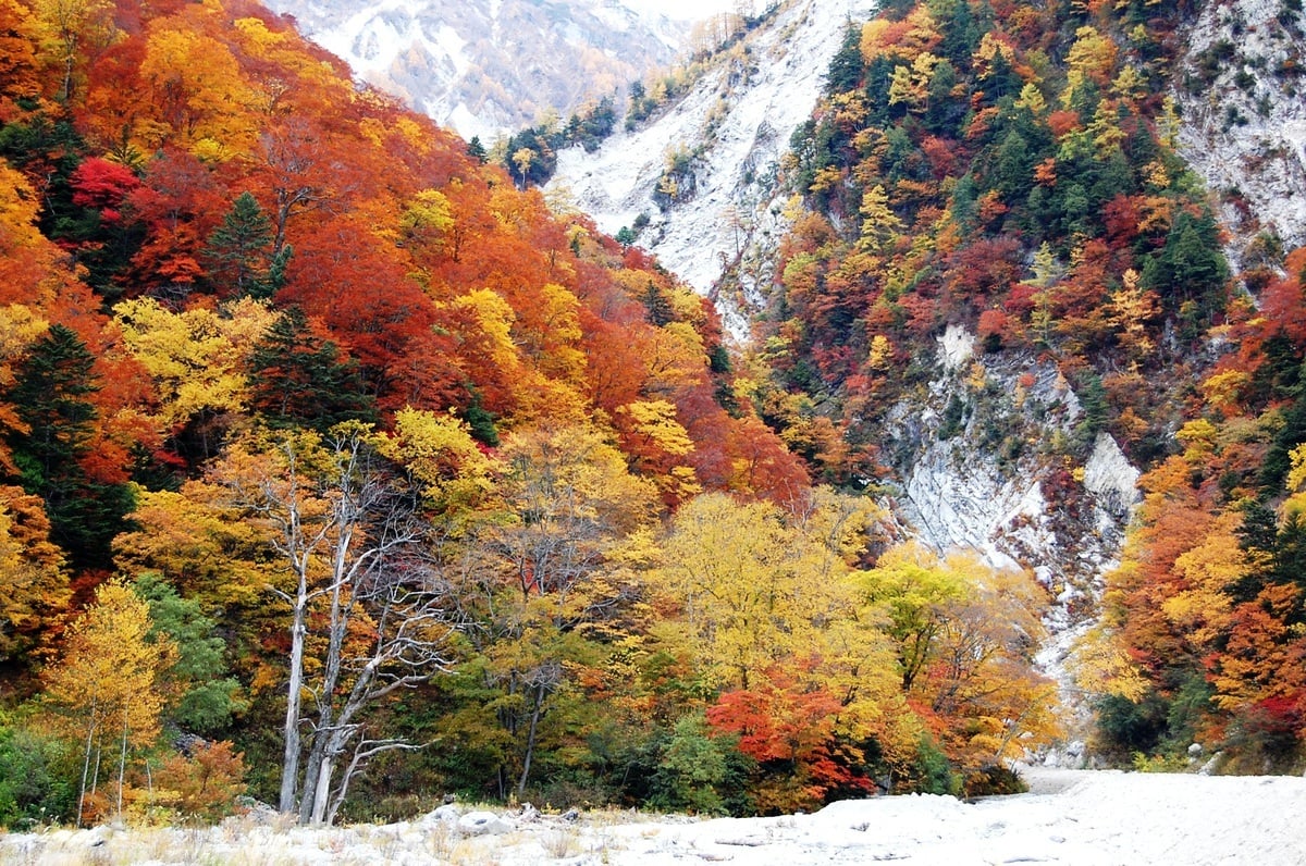 nagano nagano