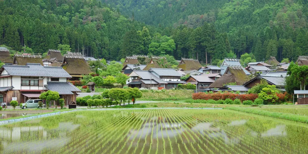 satoyama satoyama