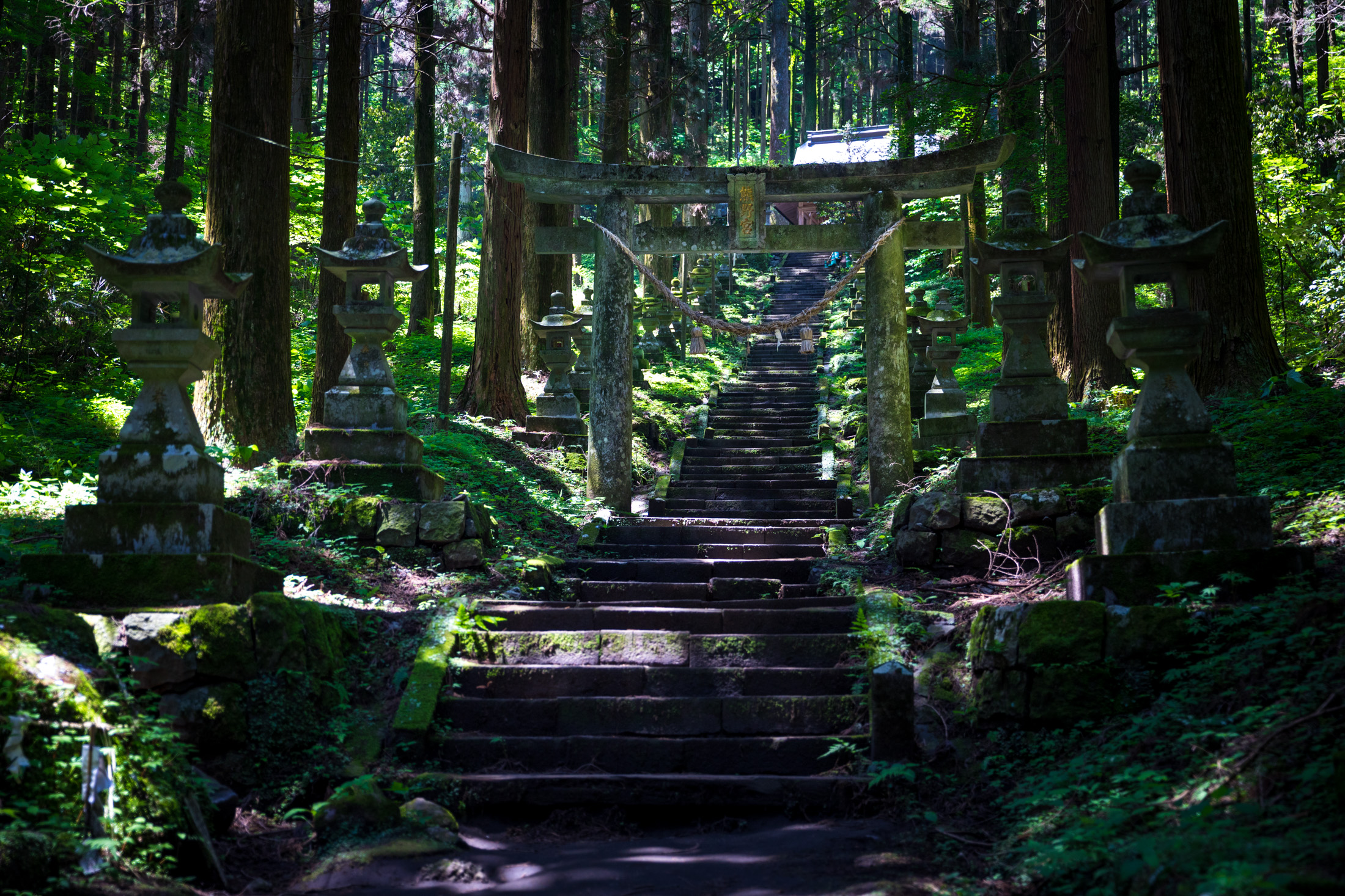 den-shinto den-shinto