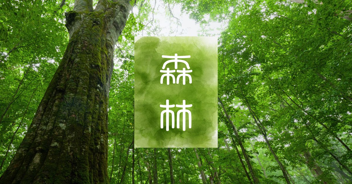 Người Nhật và rừng