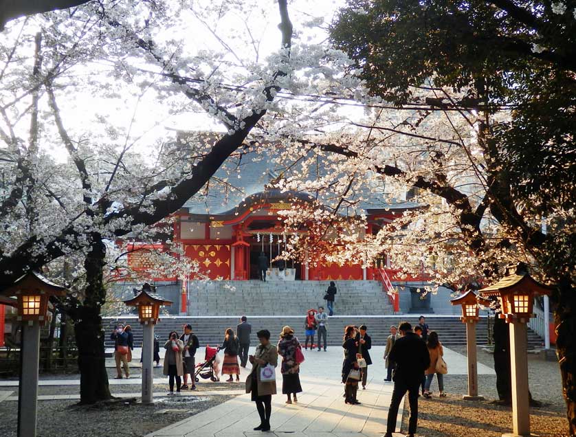 den-hanazono den-hanazono