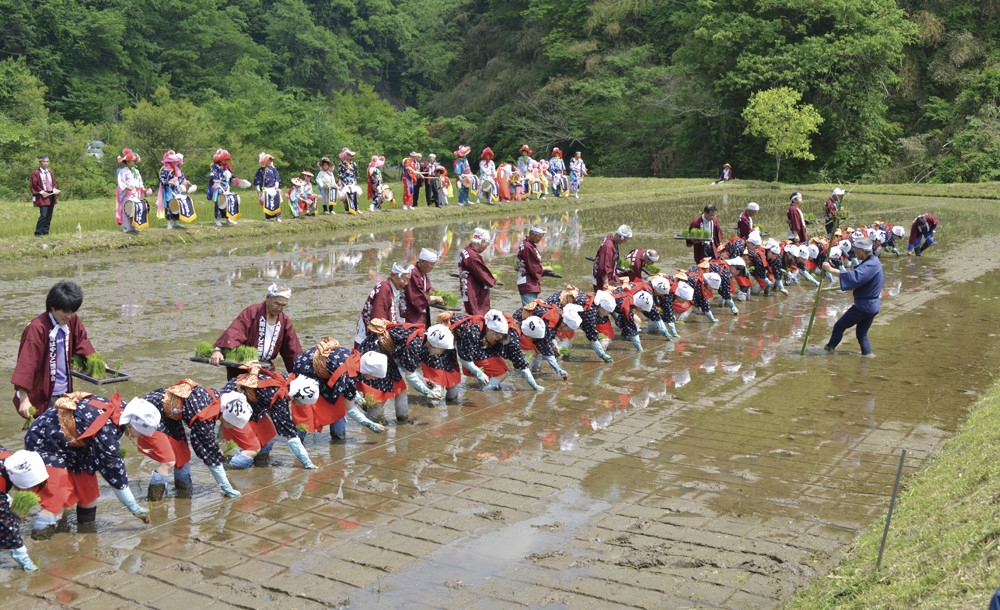 shimane-kawahira-hanataue shimane-kawahira-hanataue