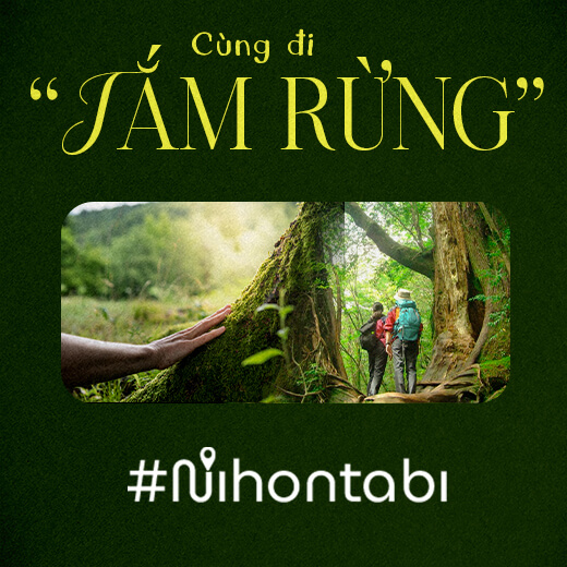 Cùng đi “Tắm rừng” tìm kiếm sự tĩnh lặng cho tâm hồn