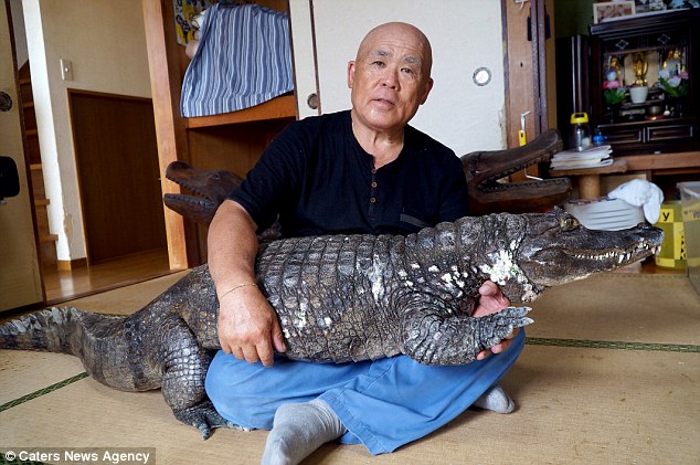 nobumitsu nobumitsu