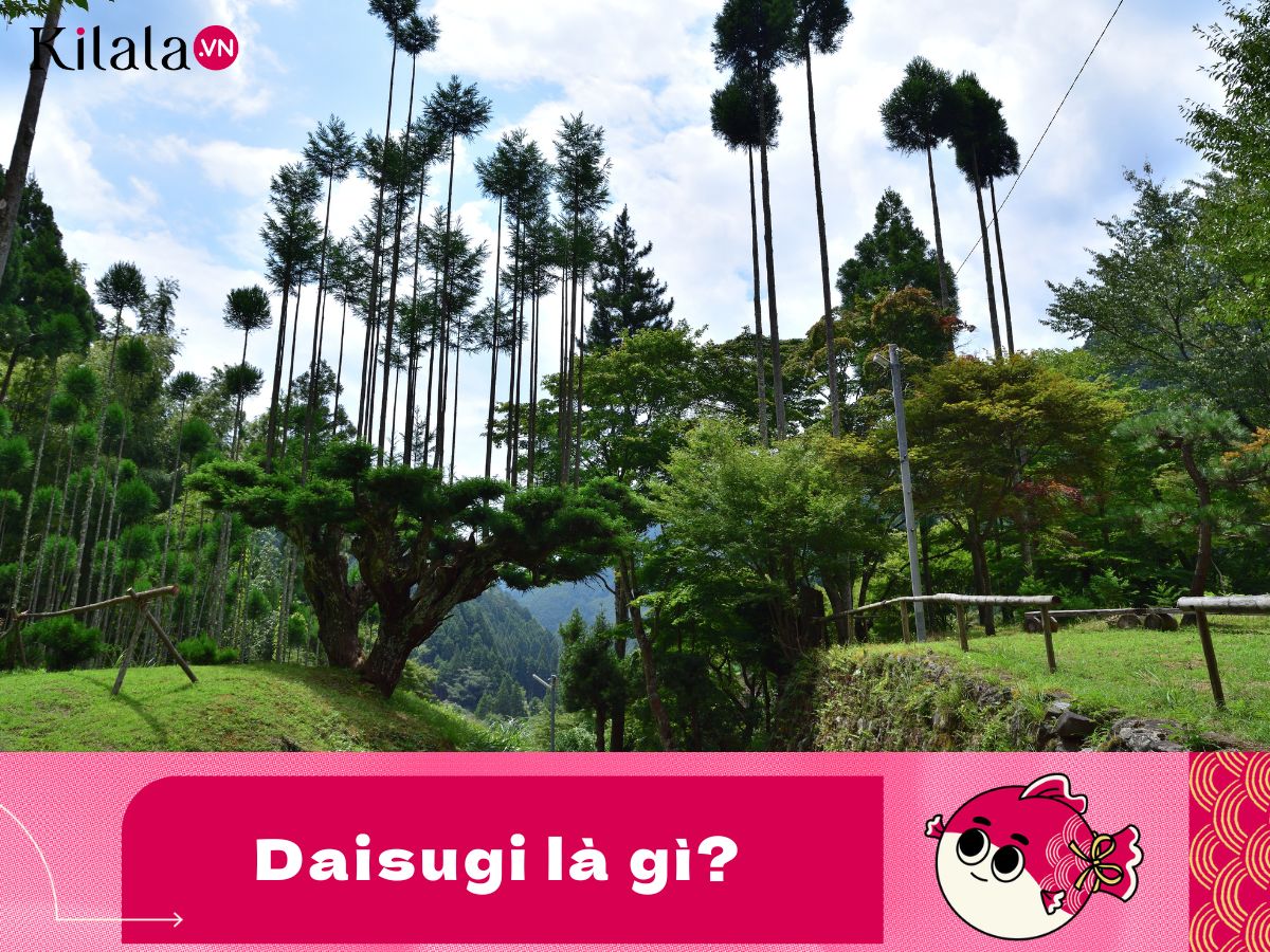 daisugi-la-gi daisugi-la-gi