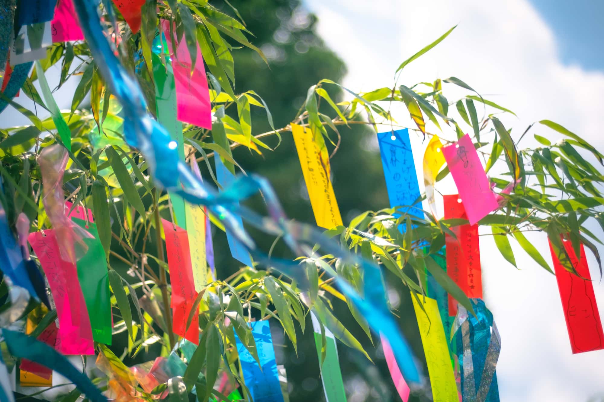 Tanabata Tanabata
