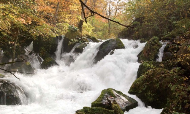 Oirase Oirase-aomori-tourism