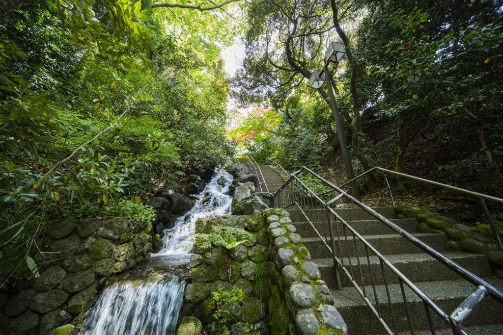 Honda-no-Mori Park Honda-no-Mori Park-yadotime