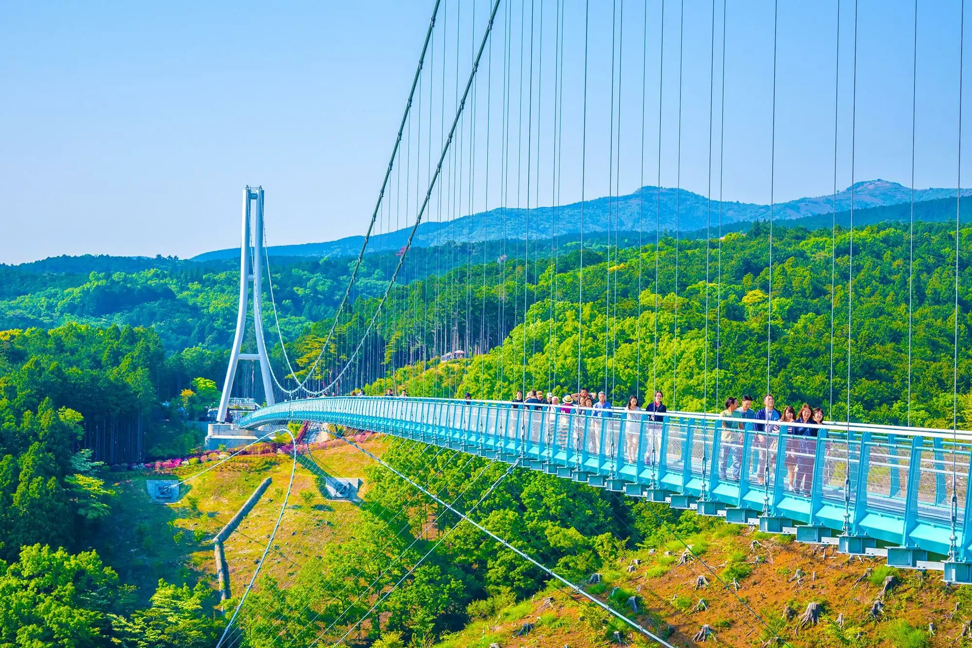 mishima-skywalk mishima-skywalk