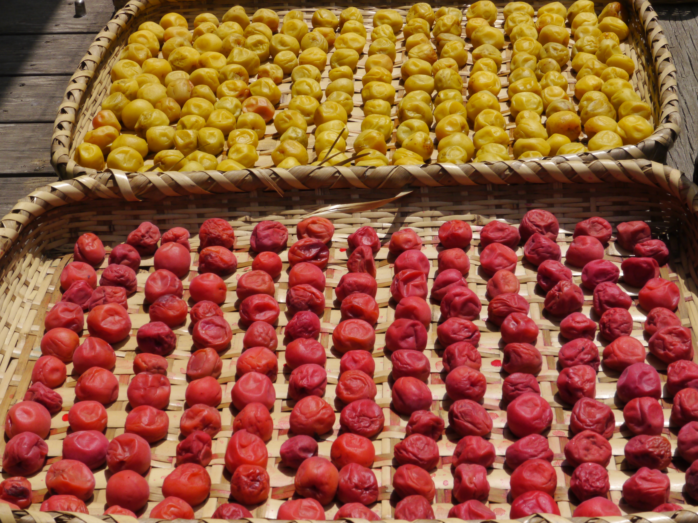 phơi ume phoi-ume