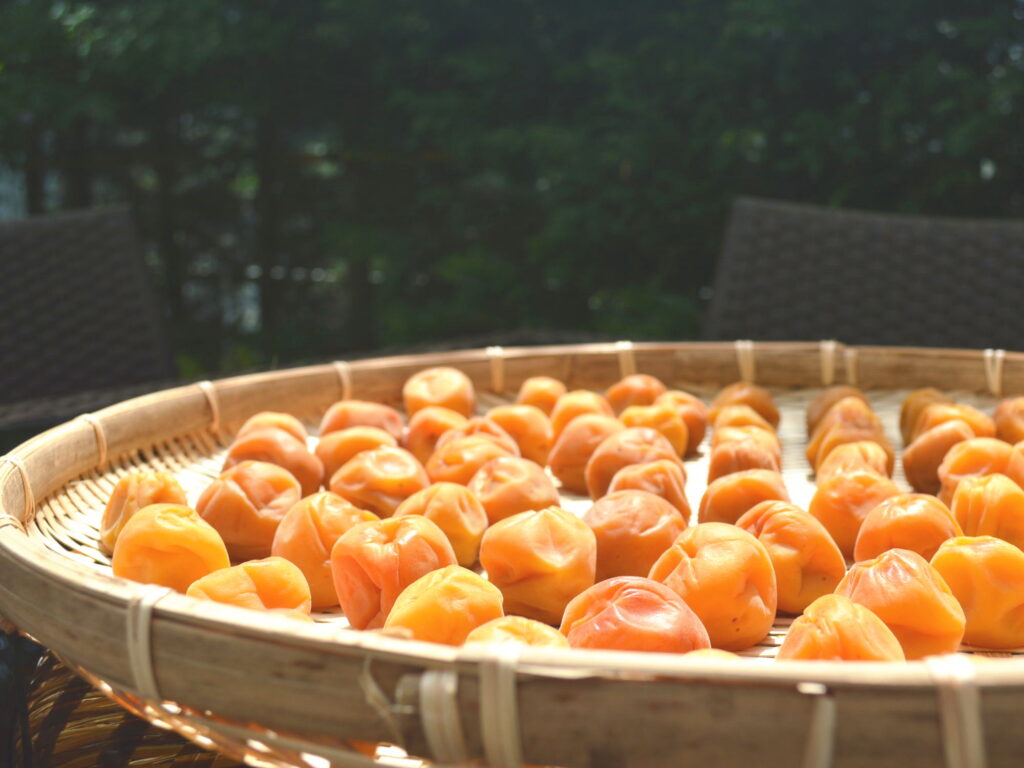 umeboshi umeboshi
