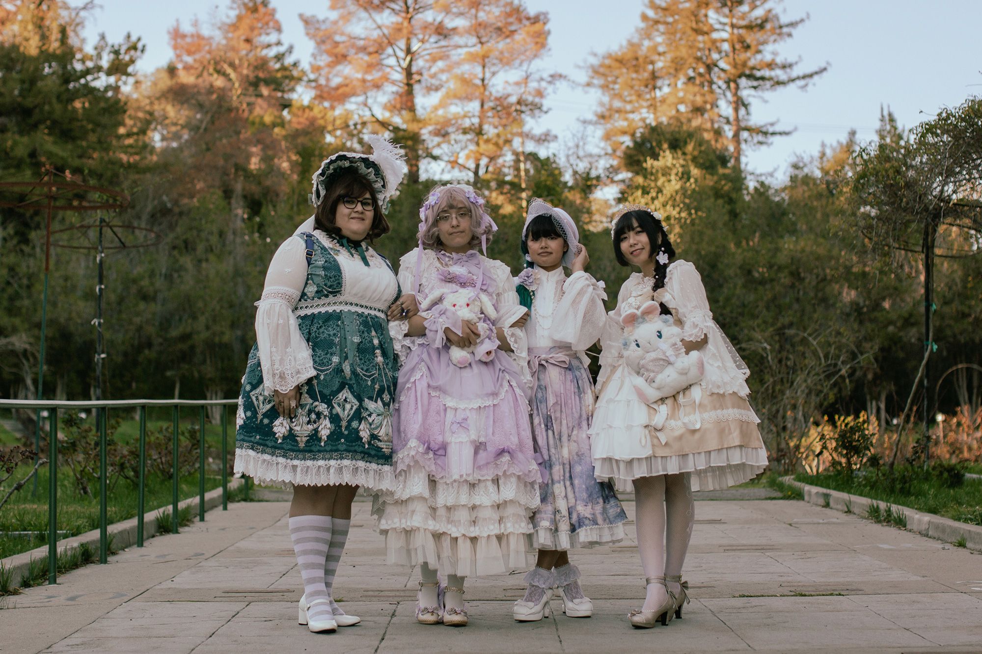 Lolita Lolita
