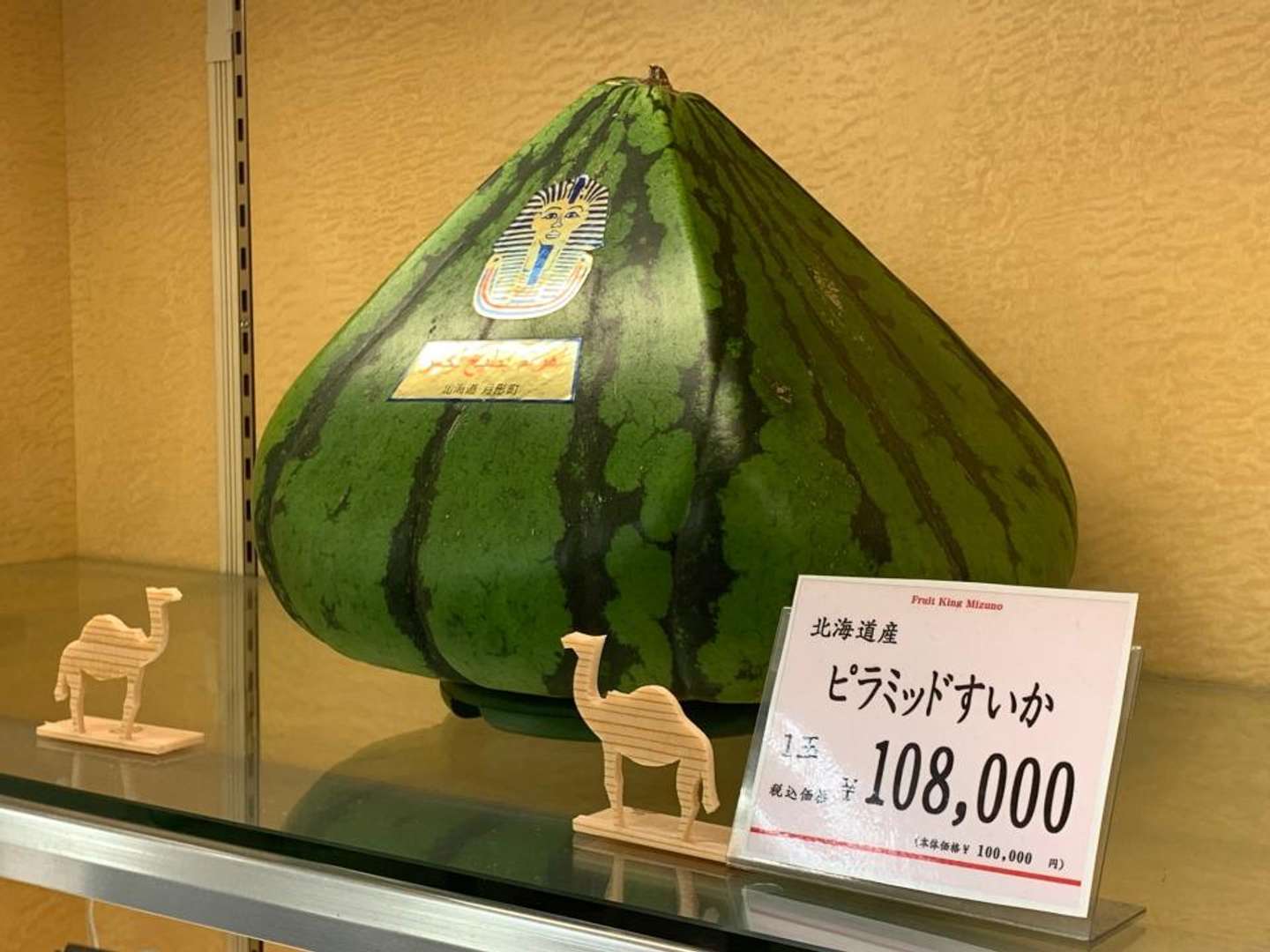 dua-hau-kim-tu-thap dua-hau-kim-tu-thap