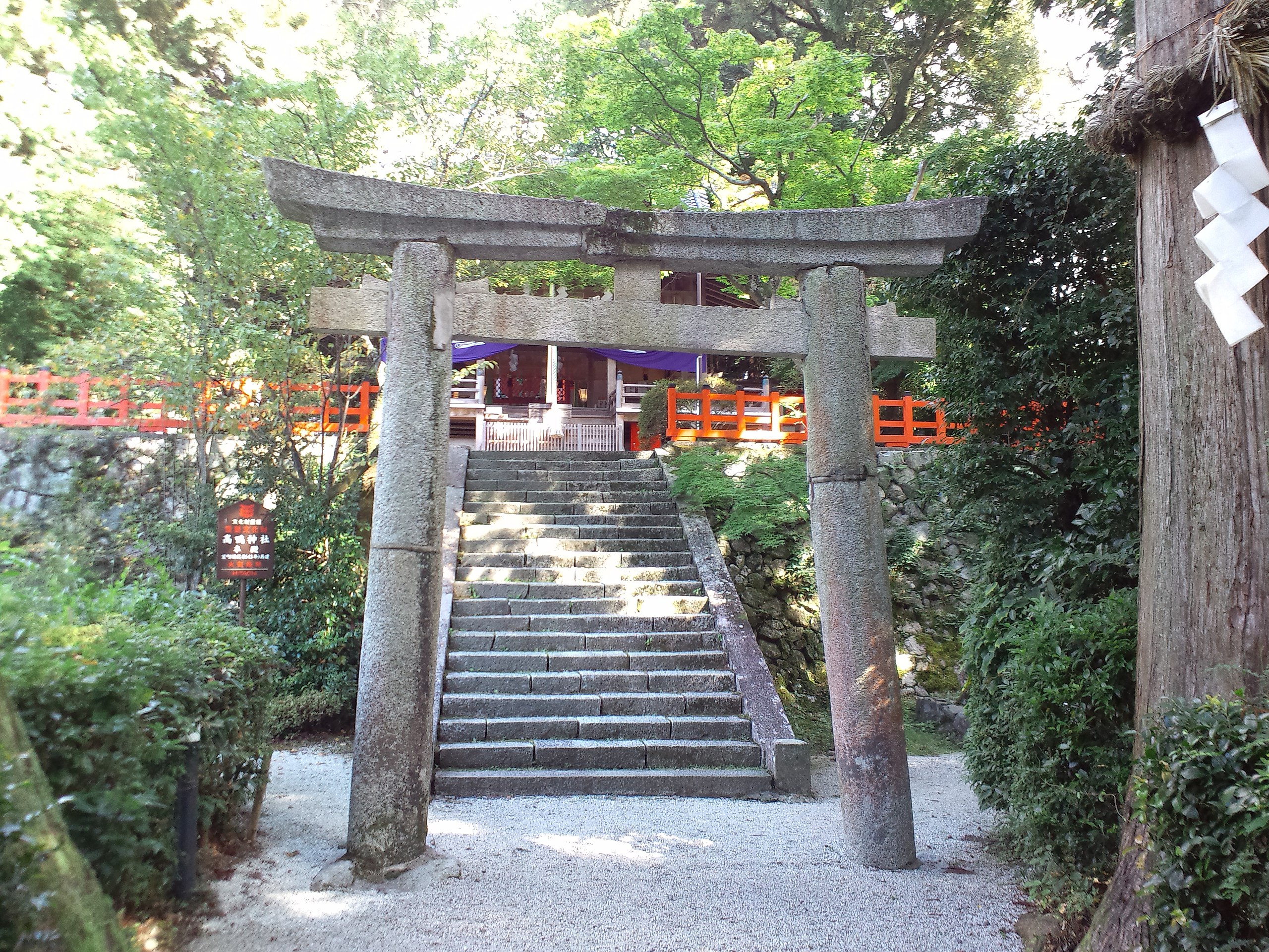 cong-torii-1 cong-torii-1