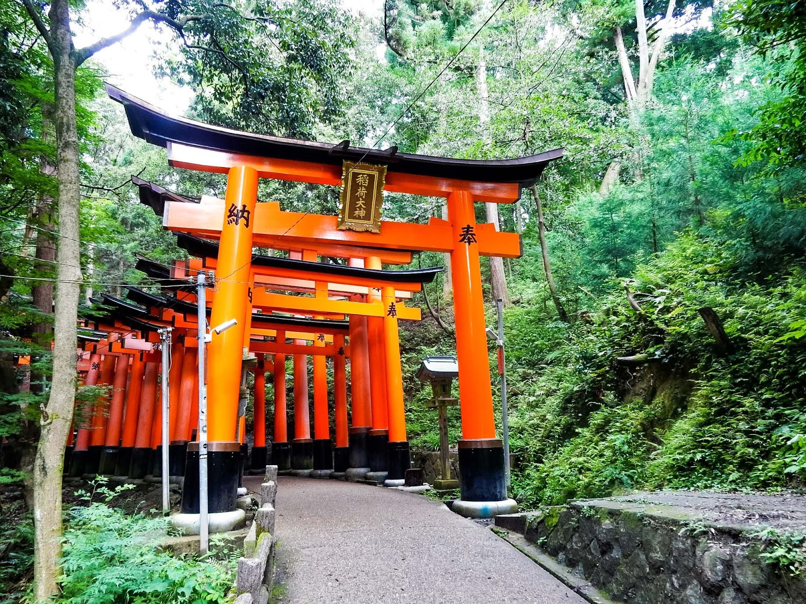 cong-torii-11 cong-torii-11